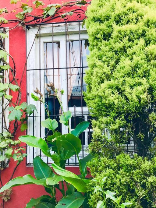 圣胡安拉拉古纳Casa I'X公寓 外观 照片