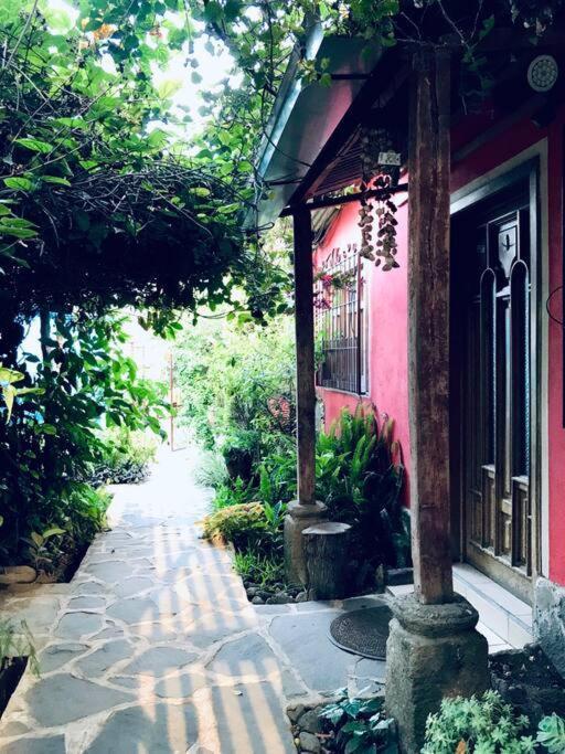 圣胡安拉拉古纳Casa I'X公寓 外观 照片