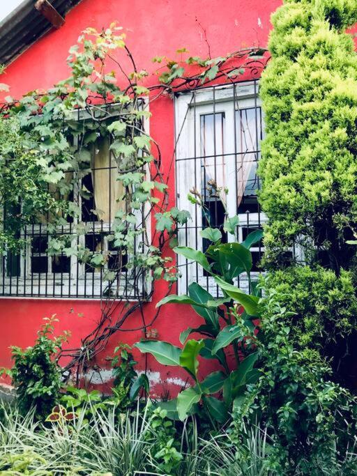 圣胡安拉拉古纳Casa I'X公寓 外观 照片